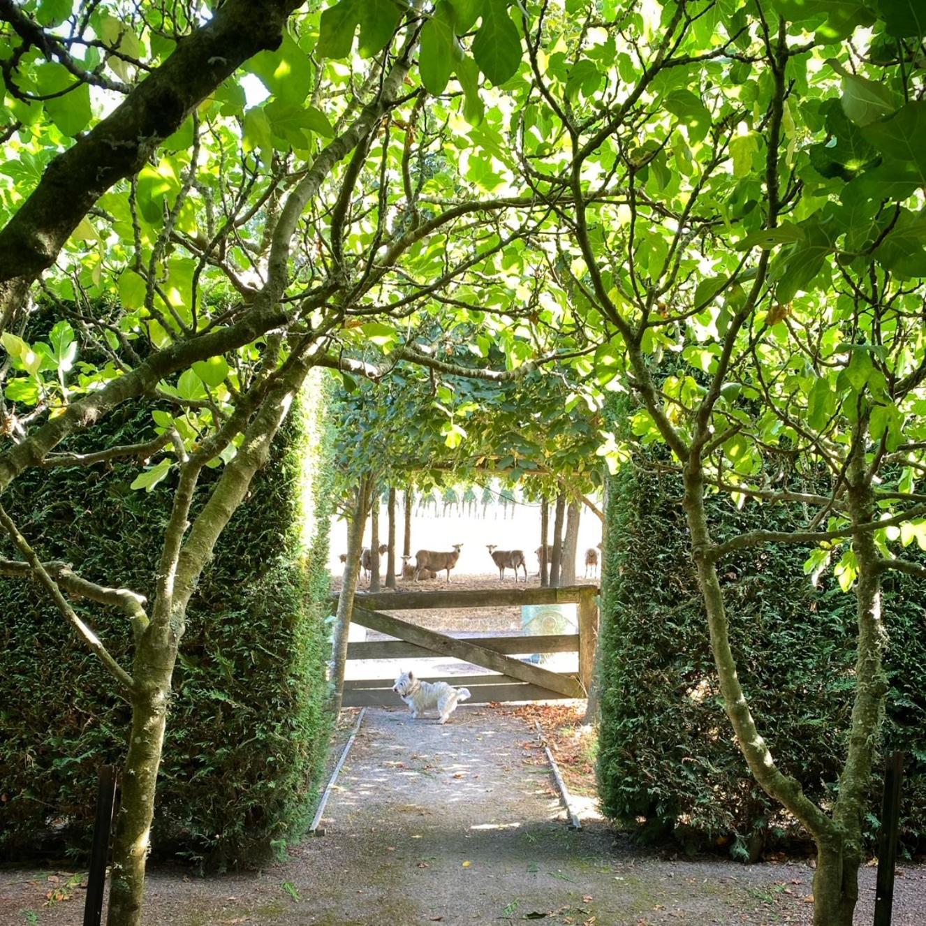Willa Stablehouse Garden Shed Masterton Zewnętrze zdjęcie